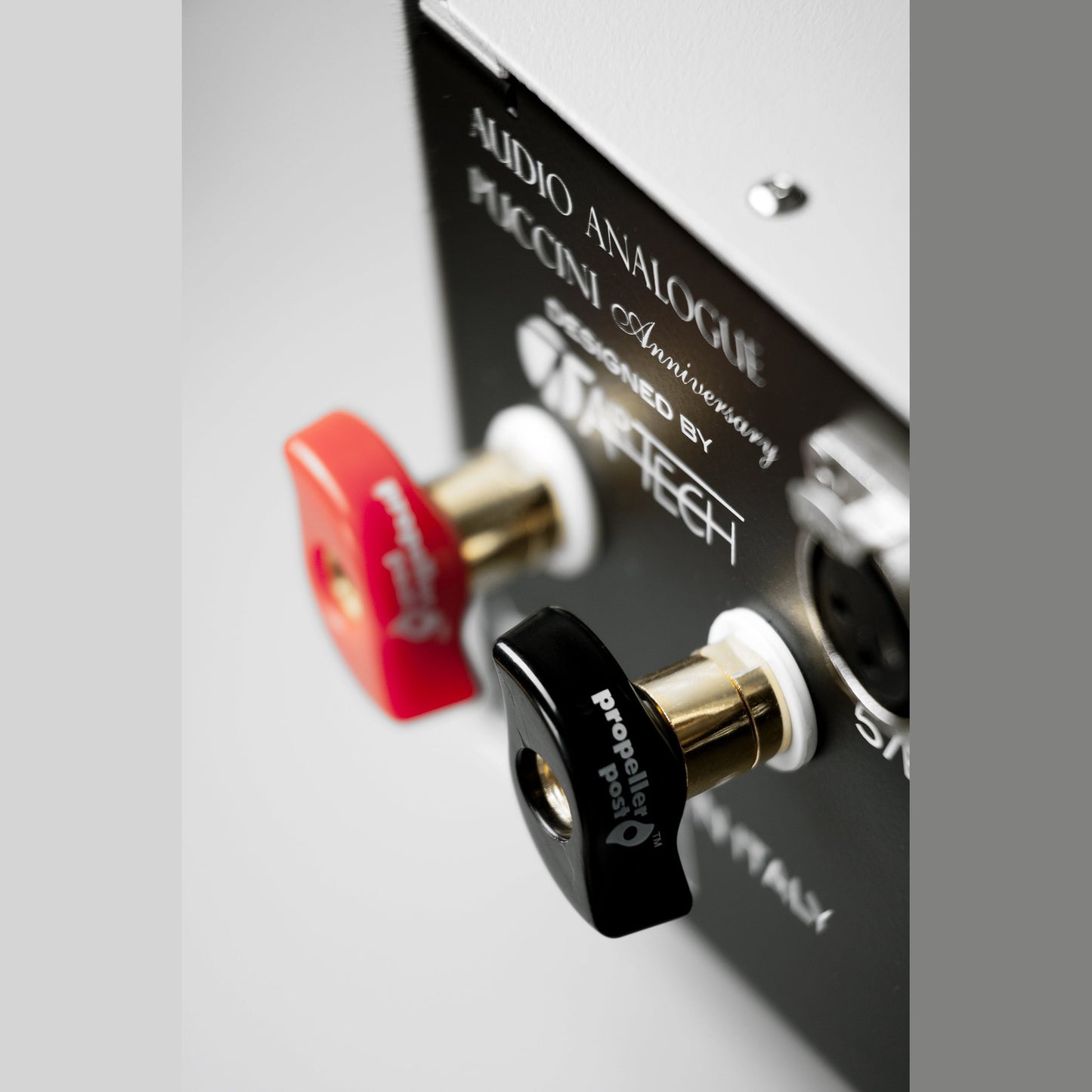 Audio Analogue Puccini Anniversary Vollverstärker Silber, Detailansicht der Polklemmen am Anschlussfeld