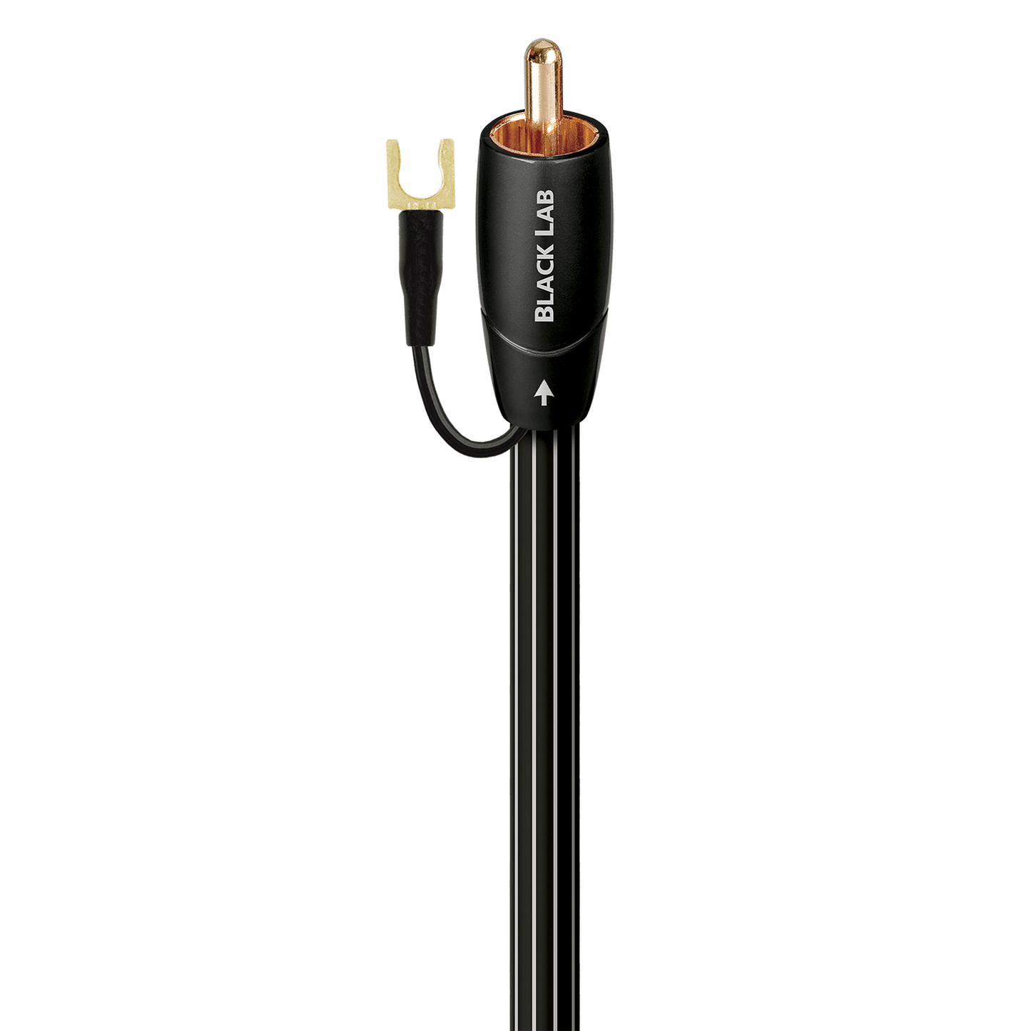 AudioQuest Black Lab Subwoofer-Kabel Detailansicht, vergoldeter Cinch-Stecker mit integrierter Masseleitung