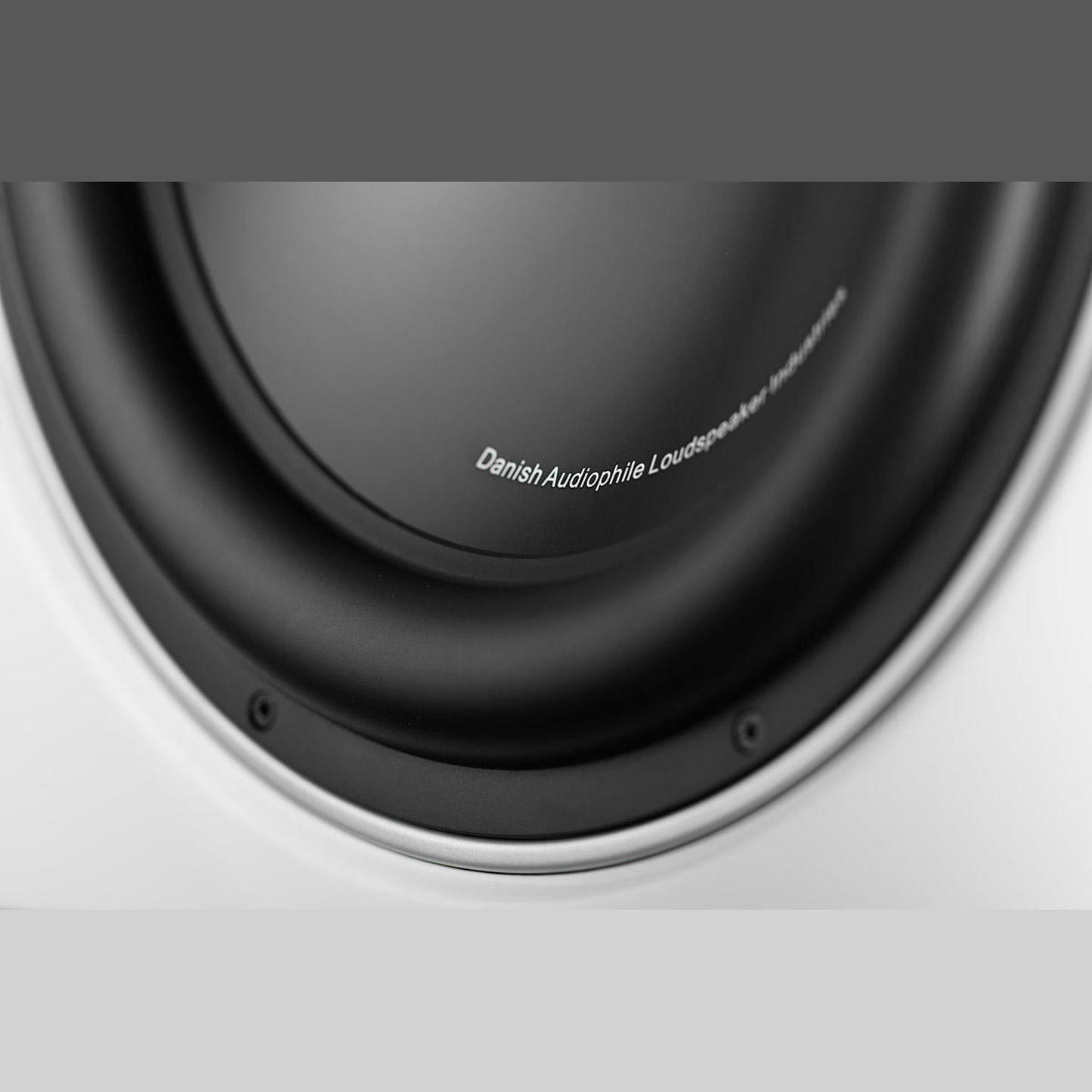 DALI Sub K-14 F Aktiv-Subwoofer Weiss Detailansicht Makroaufnahme Sicke und Schriftzug