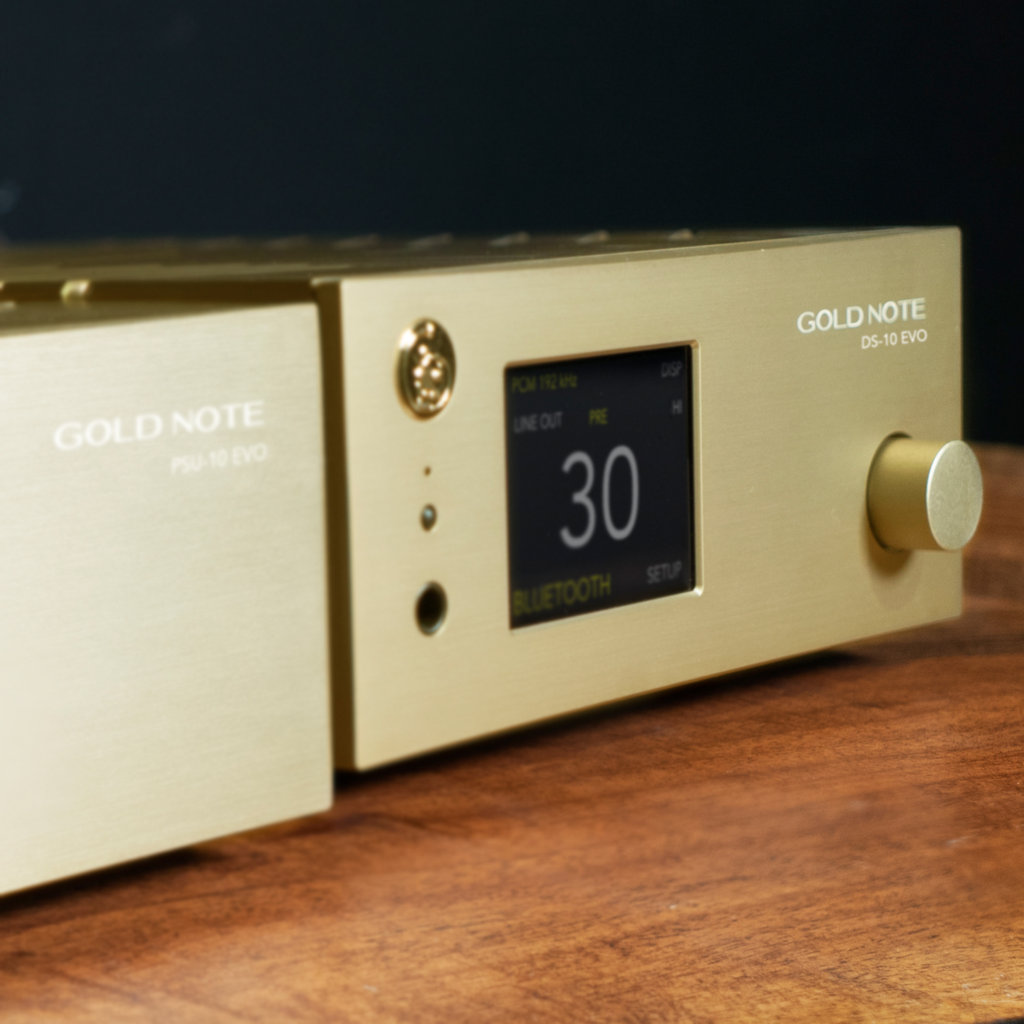 Gold Note DS-10 EVO Line Streaming-DAC Detailansicht in Gold mit optionalem Netzteil PSU-10 EVO