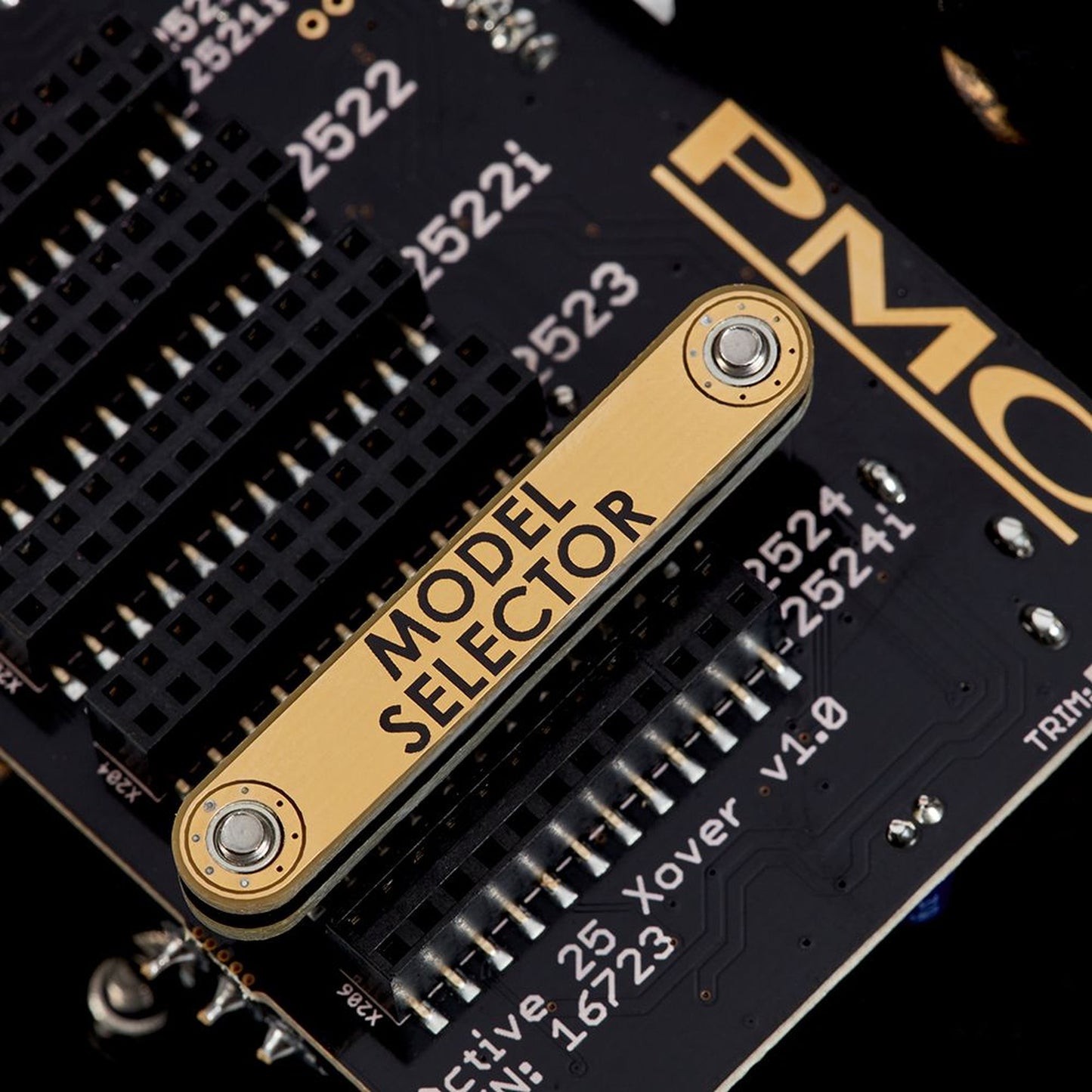 PMC Active Twenty5 Upgrade Aktiv-Nachrüstkit Detailansicht Model Selector auf der Platine
