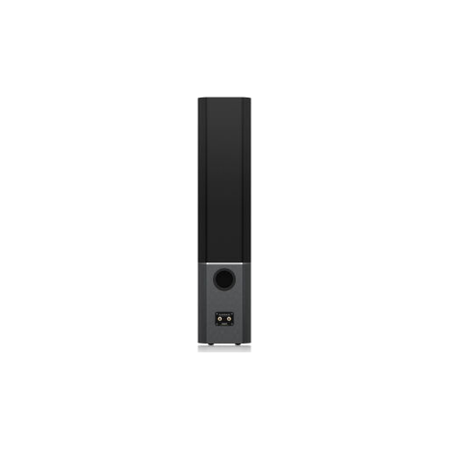 Tannoy Platinum F6 Standlautsprecher Schwarz Rückansicht mit Lautsprecherterminal und Bassreflexöffnung