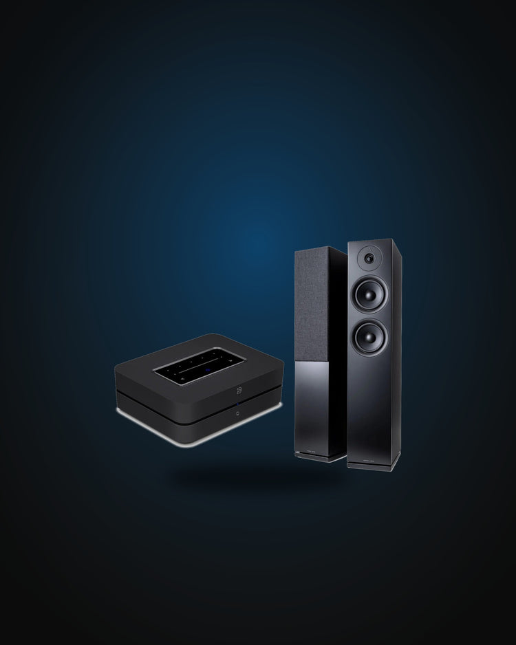 Bluesound Powernode N331 + Argon Forus 55 Set, Schwarz, Setansicht