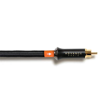 Advance Paris L-Coax1 Digital-Koaxialkabel, 1 m Detailansicht mit vergoldetem Cinch-Stecker