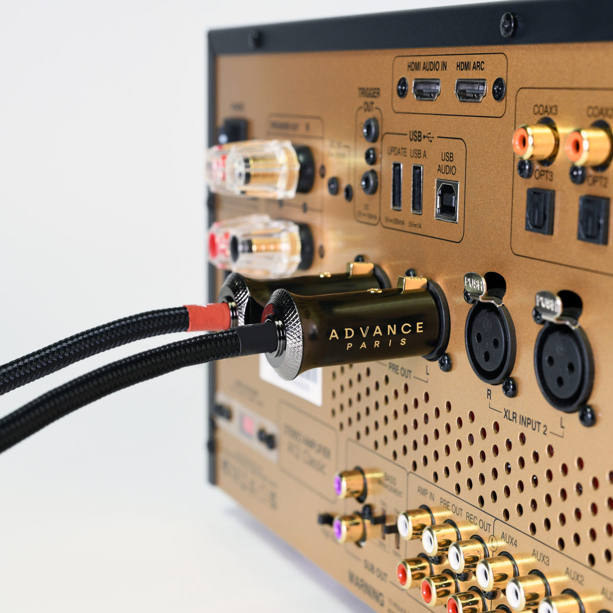 Advance Paris L-XLR 0.5 XLR-Kabel, 0,5 m Anwendungsbild am symmetrischen Eingang eines Verstärkers