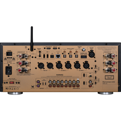Advance Paris MyConnect 250 Streaming-Verstärker Rückansicht mit HDMI, XLR, AES und Phono