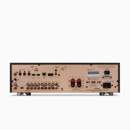 Advance Paris PlayStream A5 Streaming-Verstärker Rückansicht mit Phono, XLR und Digitaleingängen