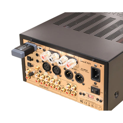 Advance Paris X-FTB02 Bluetooth-Empfänger Detailansicht eingesteckt am Anschlussfeld eines Verstärkers