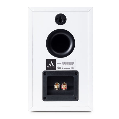 Argon Audio Forus 5 Regallautsprecher weiss Rückansicht mit Bassreflexöffnung und Schraubklemmen