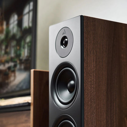 Argon Audio Forus 55 Standlautsprecher Walnuss Detailansicht Hochtöner und Tieftöner