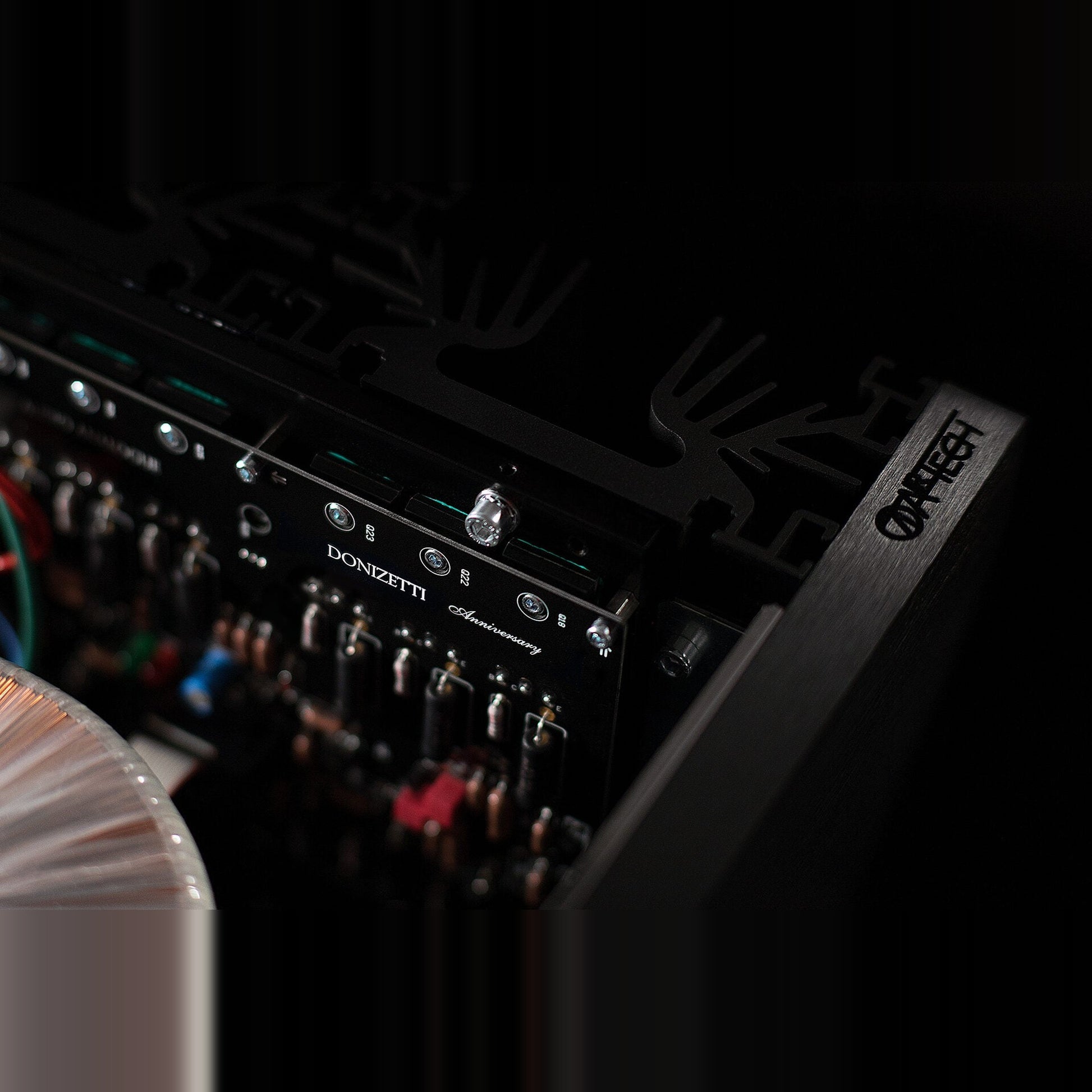Audio Analogue Donizetti Anniversary Stereo-Endverstärker Schwarz, Detailansicht der Platine mit Modellschriftzug