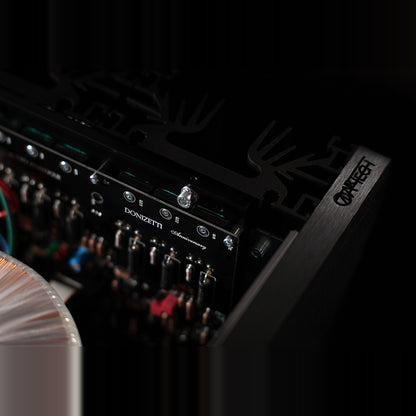 Audio Analogue Donizetti Anniversary Stereo-Endverstärker Schwarz, Detailansicht der Platine mit Modellschriftzug