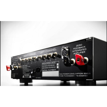 Audio Analogue Puccini Anniversary Vollverstärker Schwarz, Anschlussfeld mit Cinch- und XLR-Eingängen