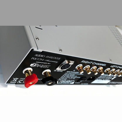 Audio Analogue Puccini Anniversary Vollverstärker Silber, Anschlussfeld mit Cinch-Eingängen und Netzeingang