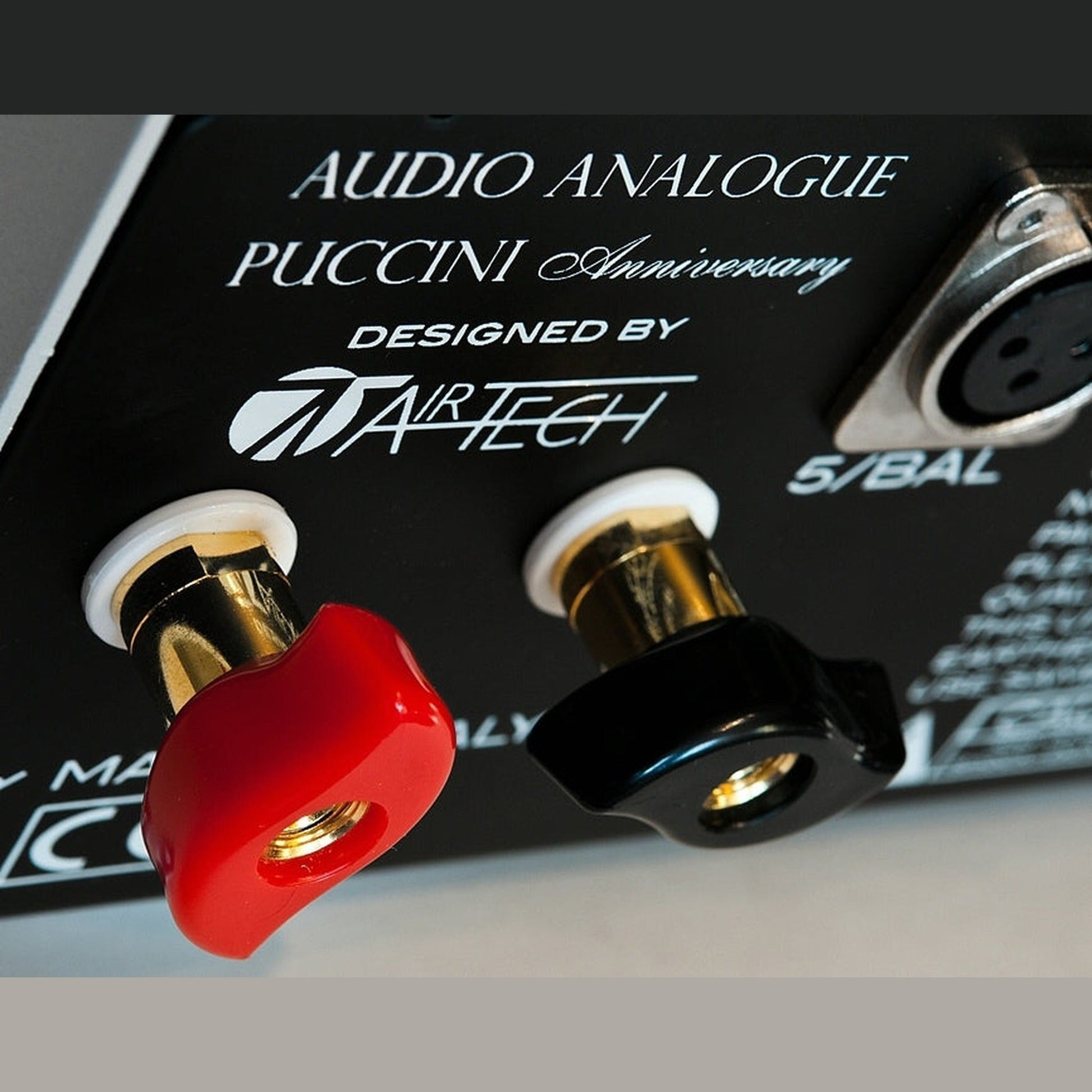 Audio Analogue Puccini Anniversary Vollverstärker Silber, Detailansicht der Polklemmen und des XLR-Eingangs