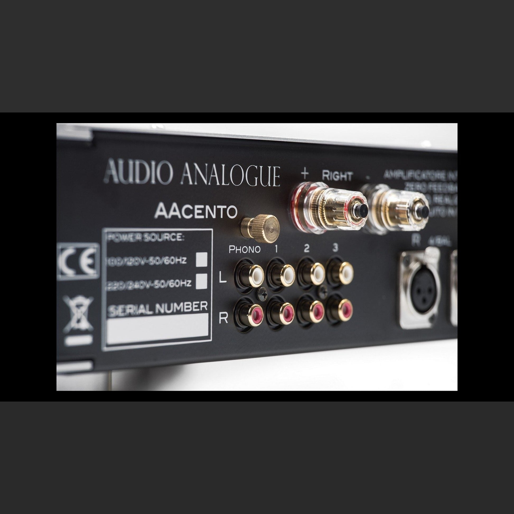 Audio Analogue Pure AACento Vollverstärker Silber, Anschlussfeld mit Phono-, Cinch- und XLR-Eingängen