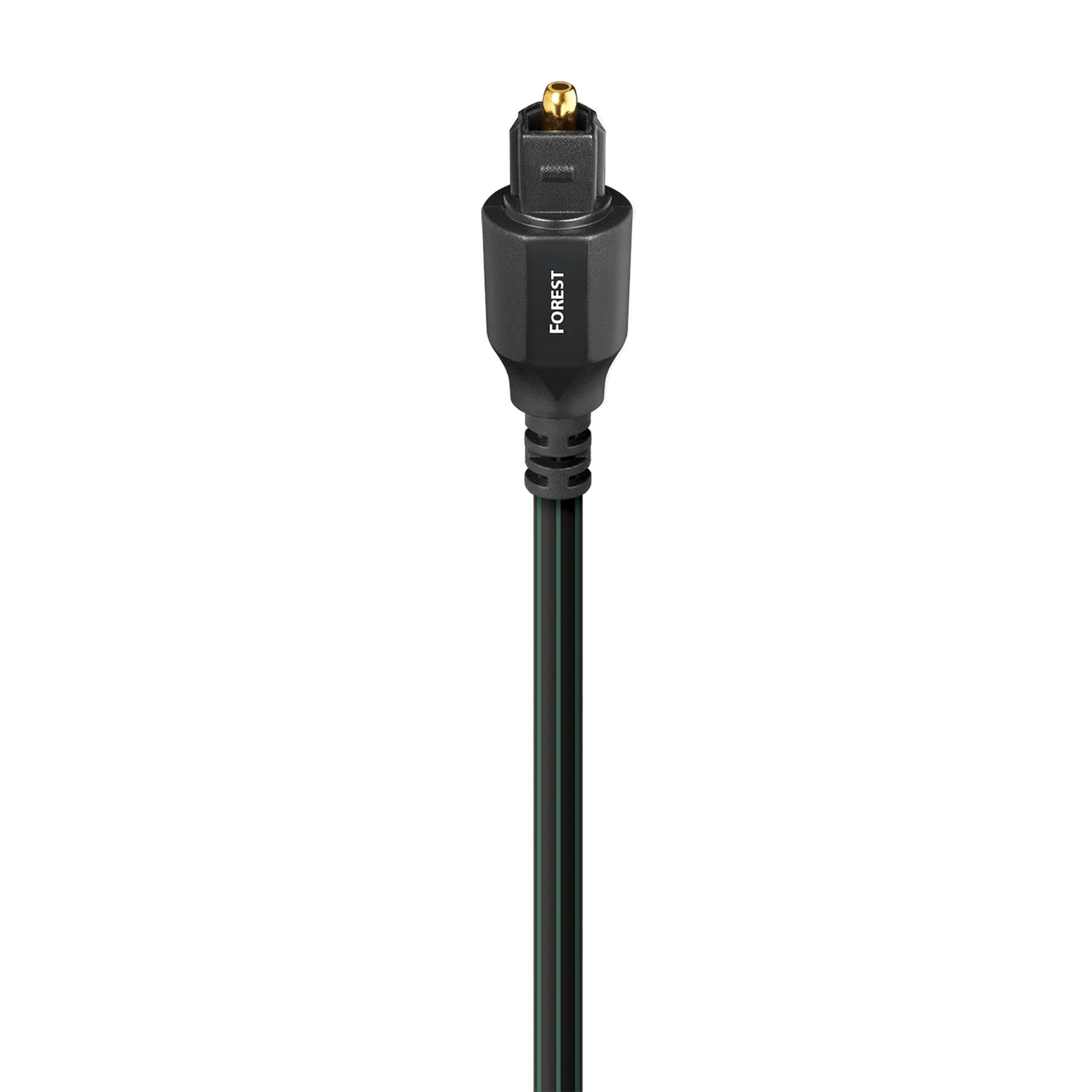 AudioQuest Forest Optisches Kabel Produktansicht: Toslink-Stecker am schwarzen Lichtleiterkabel