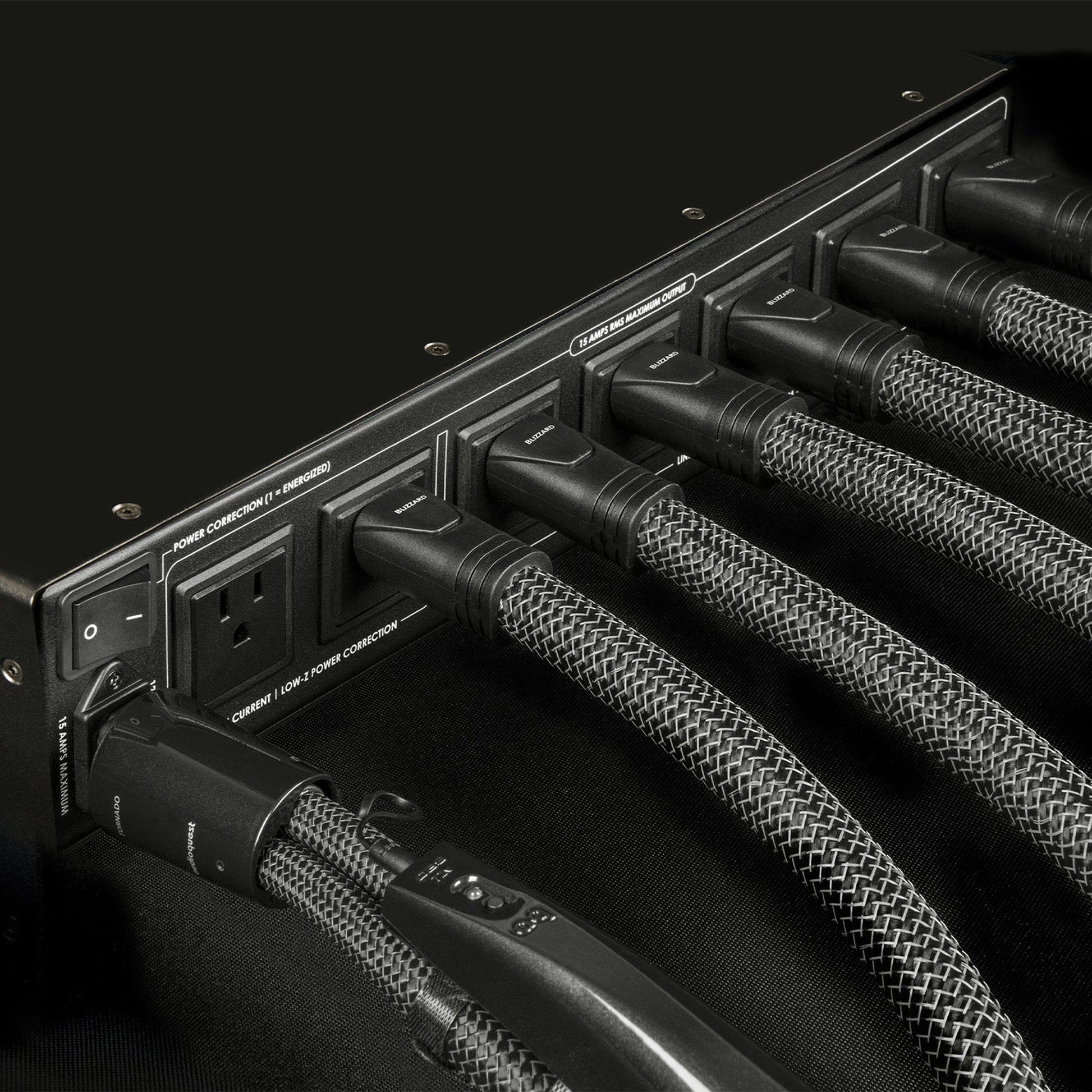 AudioQuest Niagara 3000 Power Conditioner Anschlussfeld mit gesteckten Netzkabeln, abgebildet US-Steckdosen