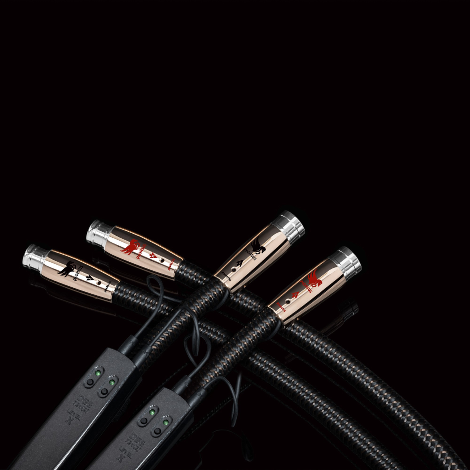 AudioQuest Pegasus XLR-Kabel Detailansicht – gekreuztes symmetrisches Kabelpaar mit XLR-Steckern und 72-V-DBS