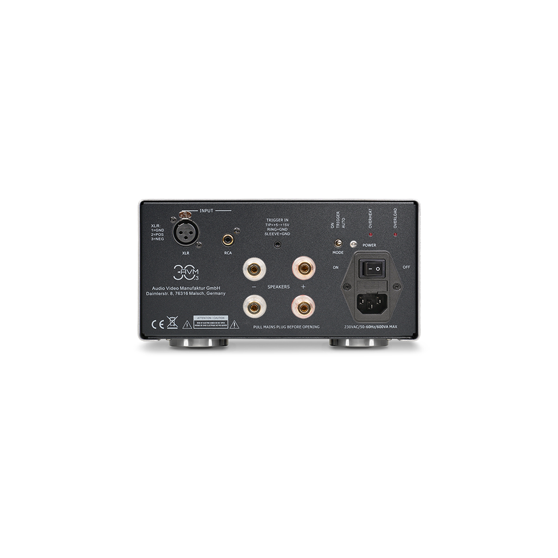 AVM MA 30.3 MK2 Mono-Endstufe Schwarz Rückansicht mit XLR-, Cinch- und Lautsprecheranschlüssen