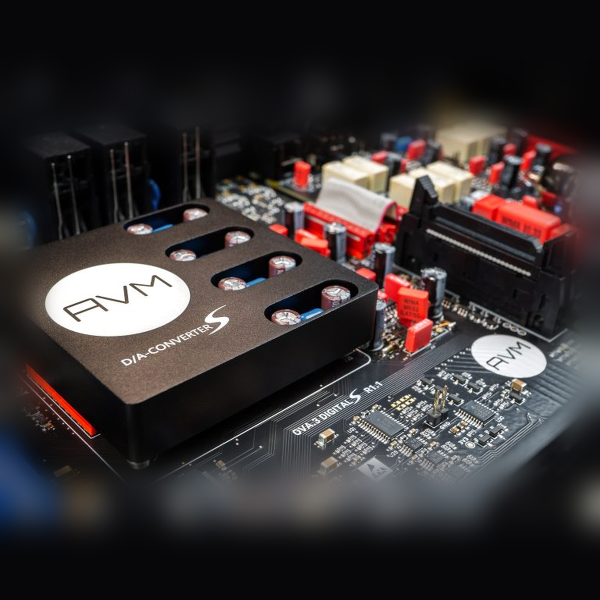 AVM Ovation S-DAC DAC-Modul Detailansicht des eingebauten Moduls auf der Digitalplatine