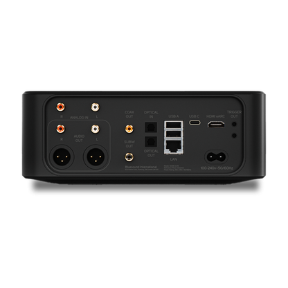 Bluesound Node Icon Netzwerk-Streamer Rückansicht mit XLR, Cinch, HDMI eARC, Koax, Optical, LAN und USB