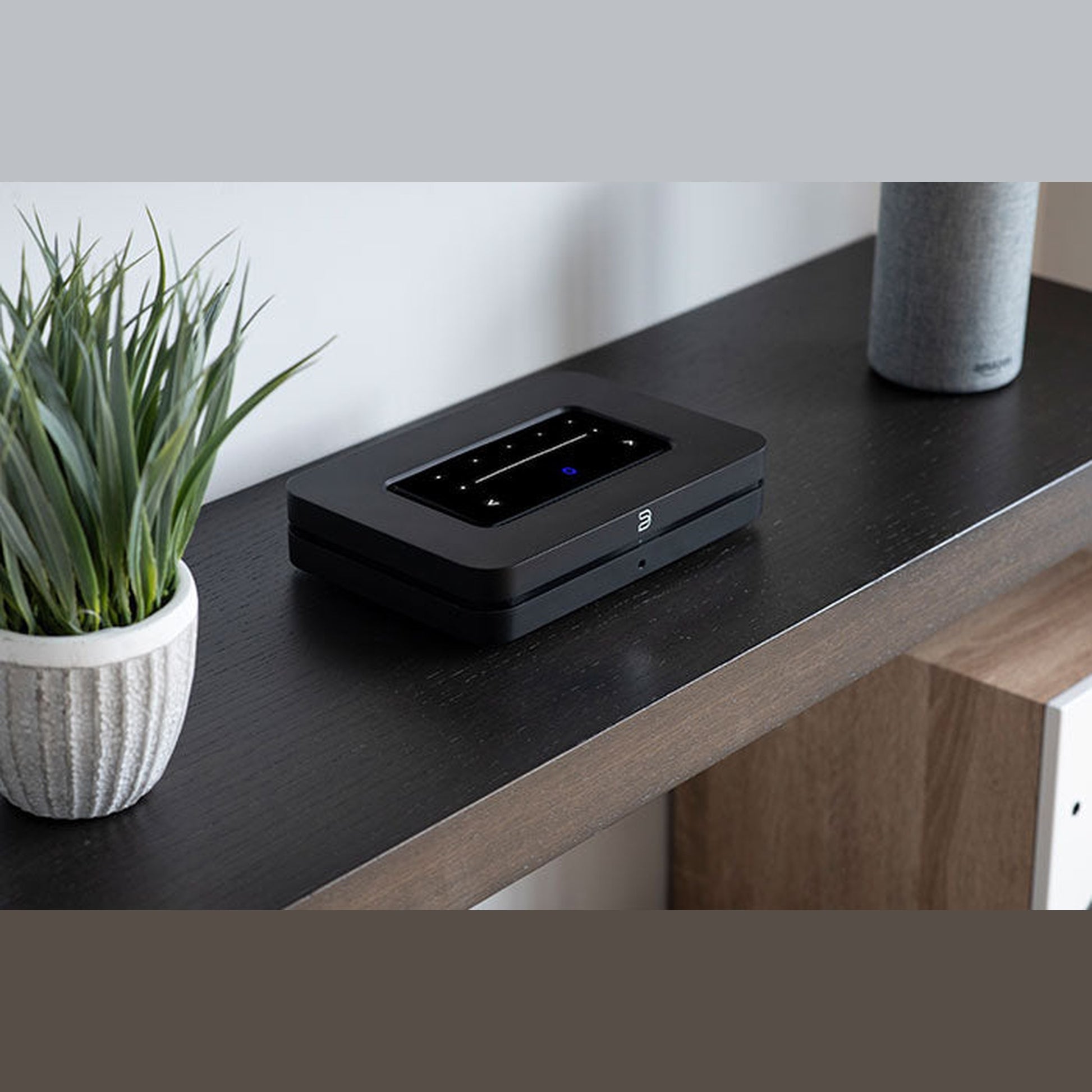 Bluesound Node Netzwerk-Streamer Schwarz Lifestyle auf dunklem Sideboard neben Zimmerpflanze