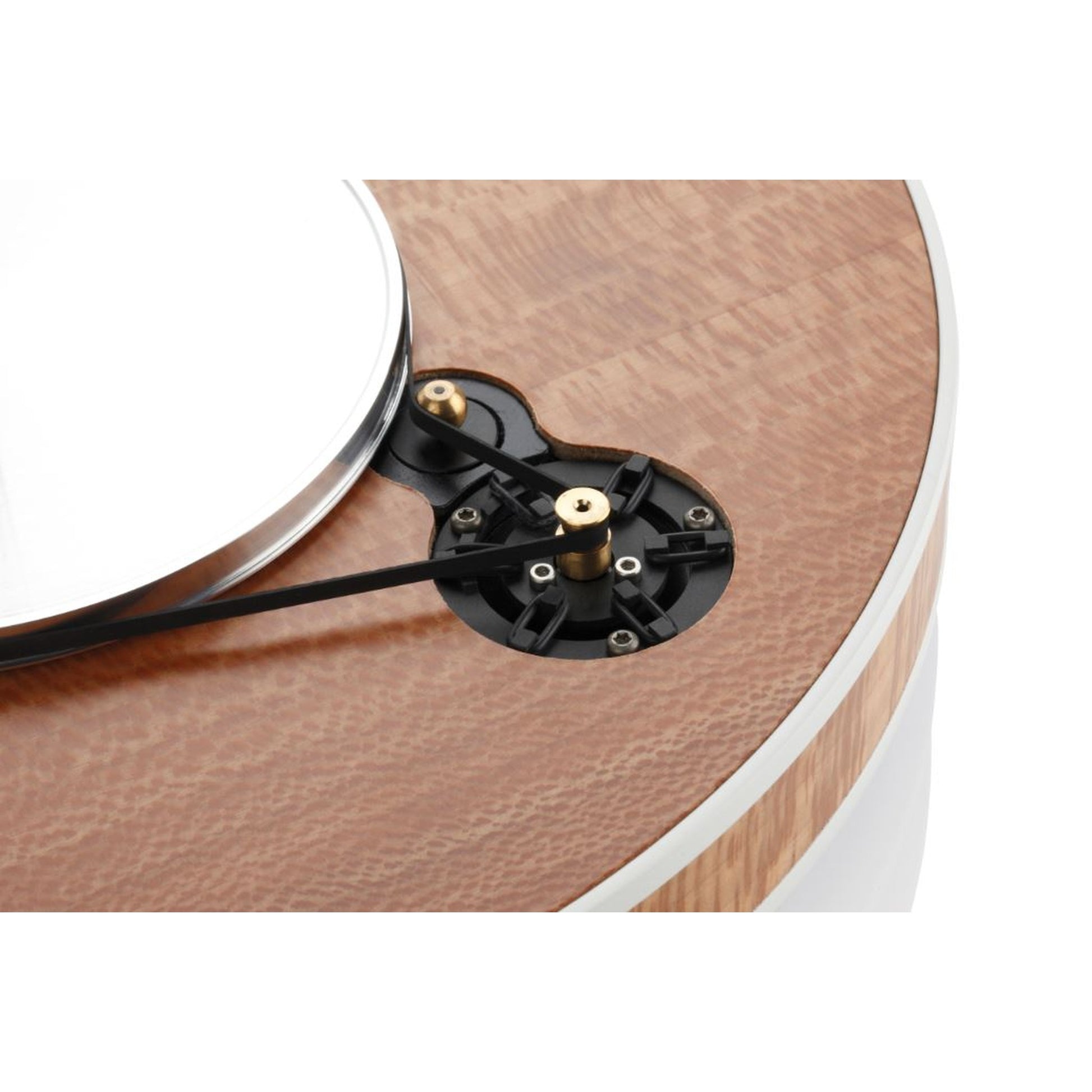 Clearaudio Celebrity Al Di Meola Plattenspieler Detailansicht Riemenantrieb mit Motorpulley, Holzzarge