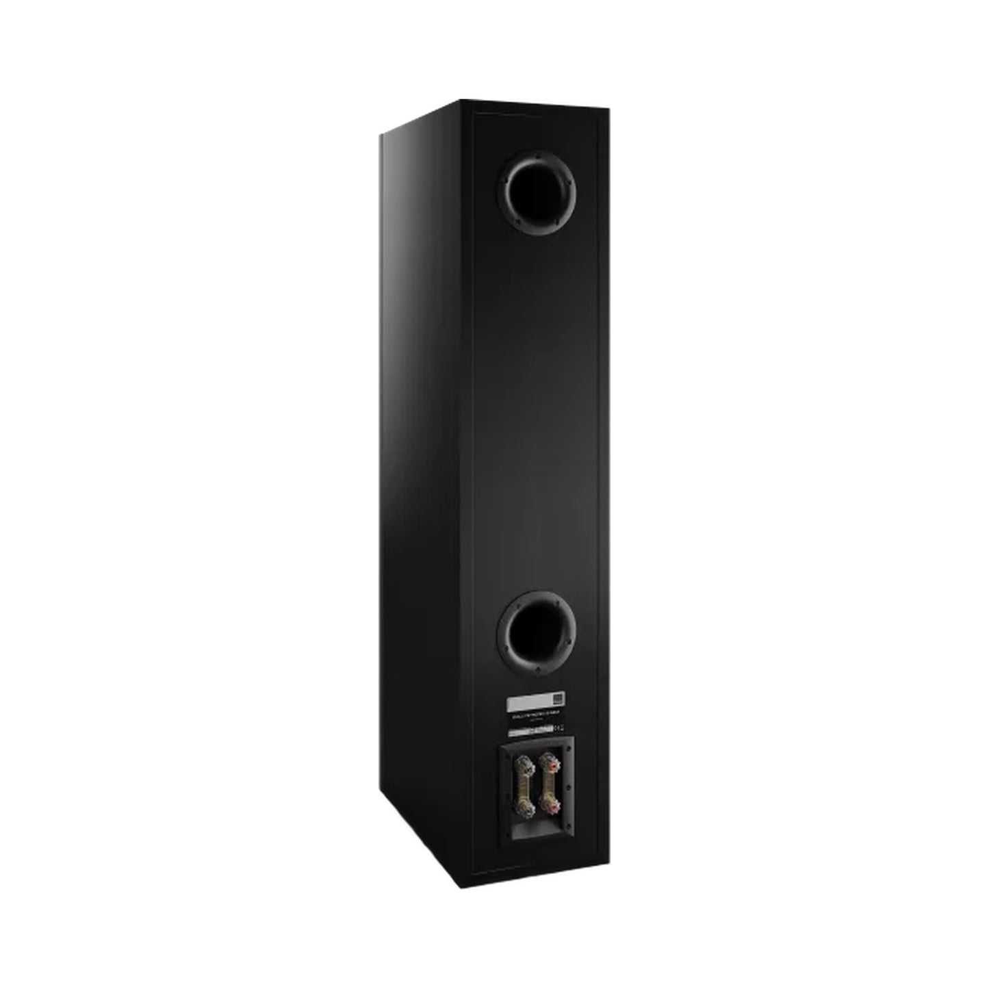 DALI Opticon 8 MK2 Standlautsprecher Schwarz Schrägansicht Anschlussterminal