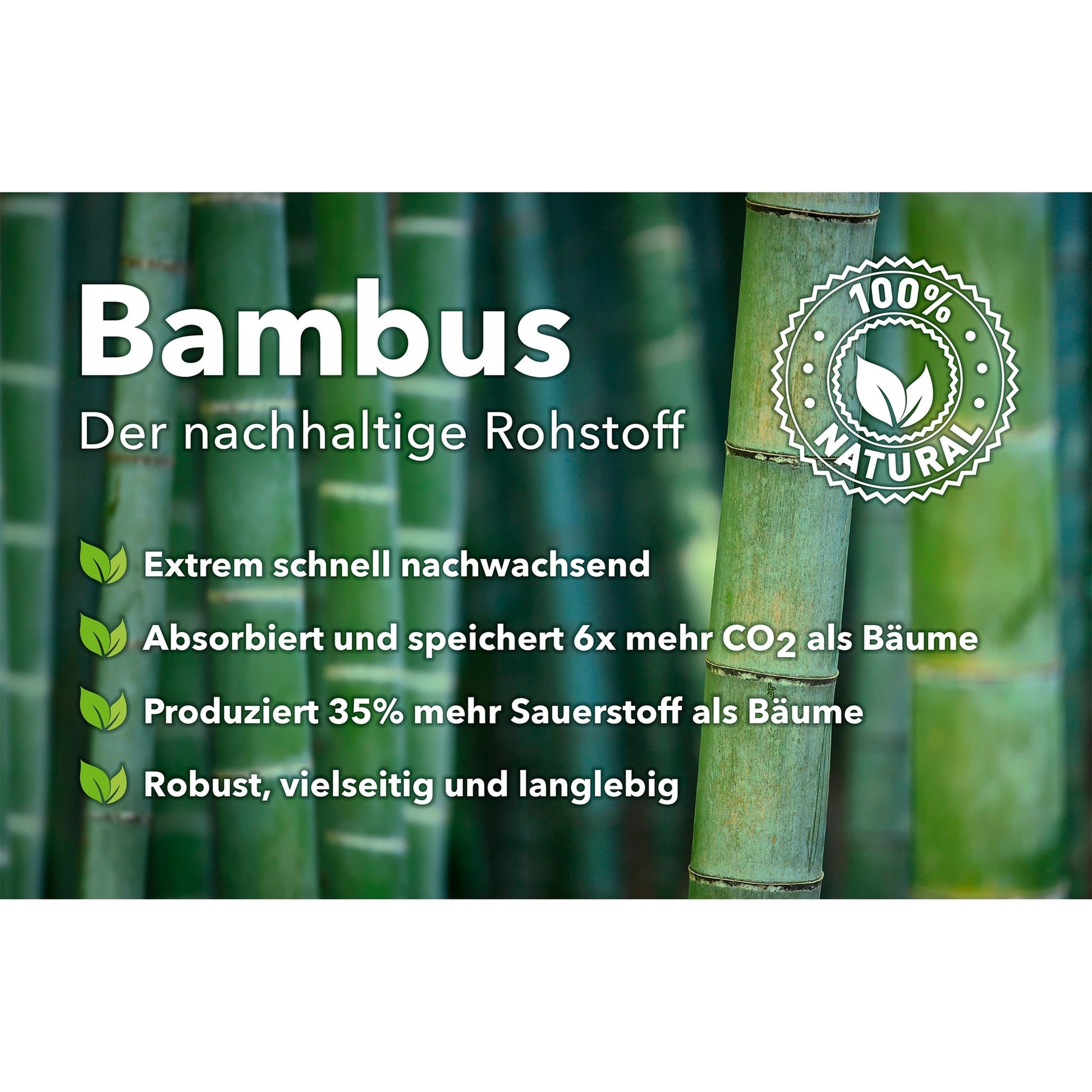Dynavox SP120 Samt-Reinigungspuk Produktansicht Herstellergrafik zum Rohstoff Bambus