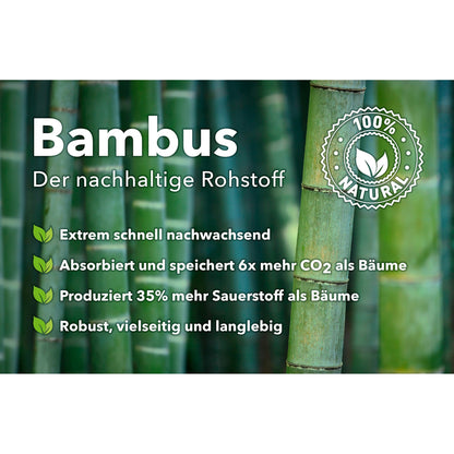 Dynavox ST40 Schallplatten-Ständer Hellbraun Produktansicht, Infografik zum Werkstoff Bambus