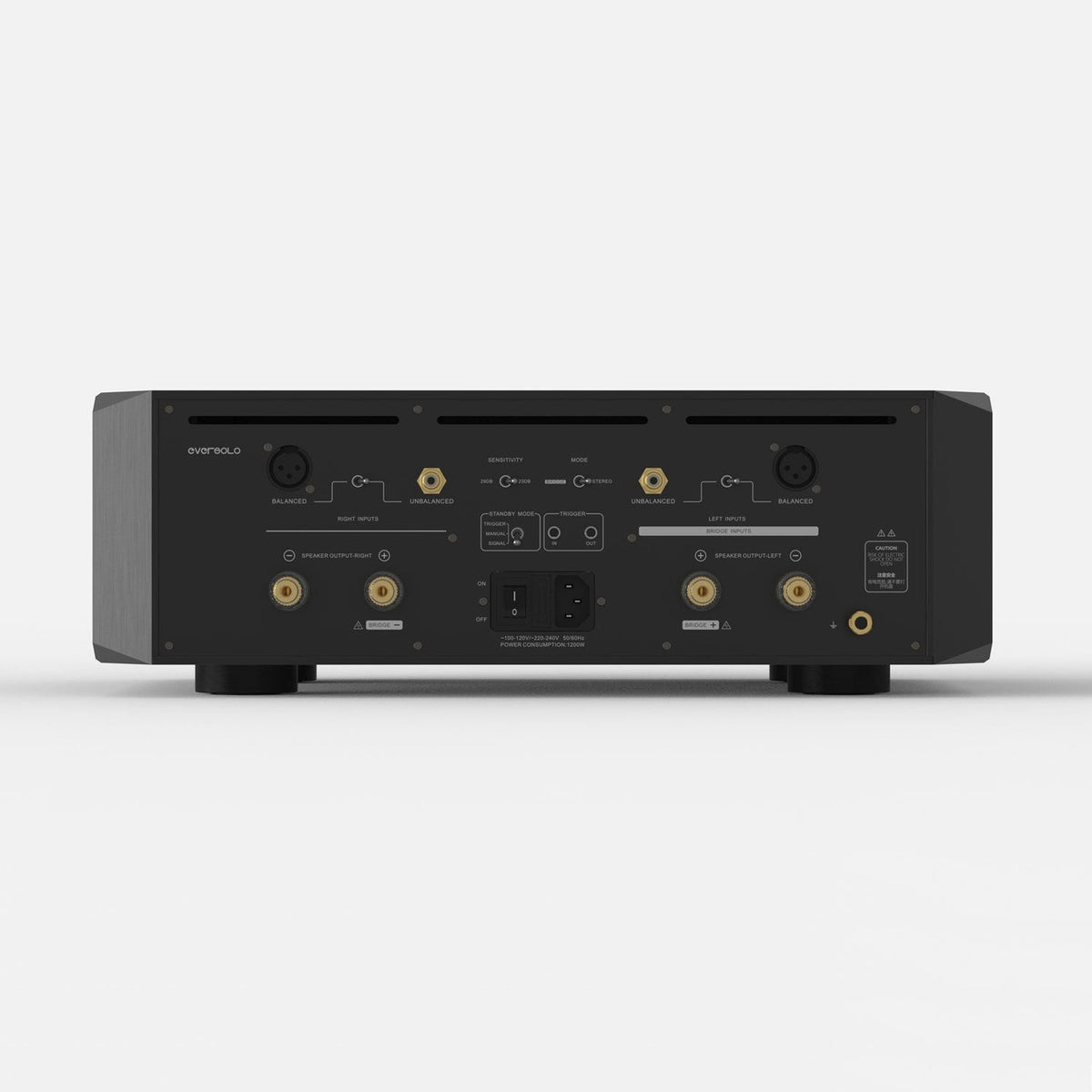 Eversolo AMP-F10 Stereo-Endverstärker Rückansicht mit XLR-, Cinch- und Lautsprecherterminals