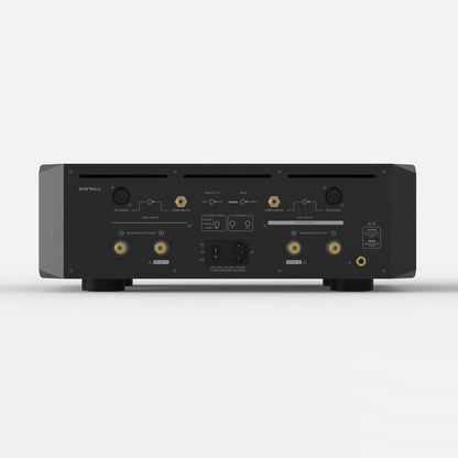 Eversolo AMP-F10 Stereo-Endverstärker Rückansicht mit XLR-, Cinch- und Lautsprecherterminals