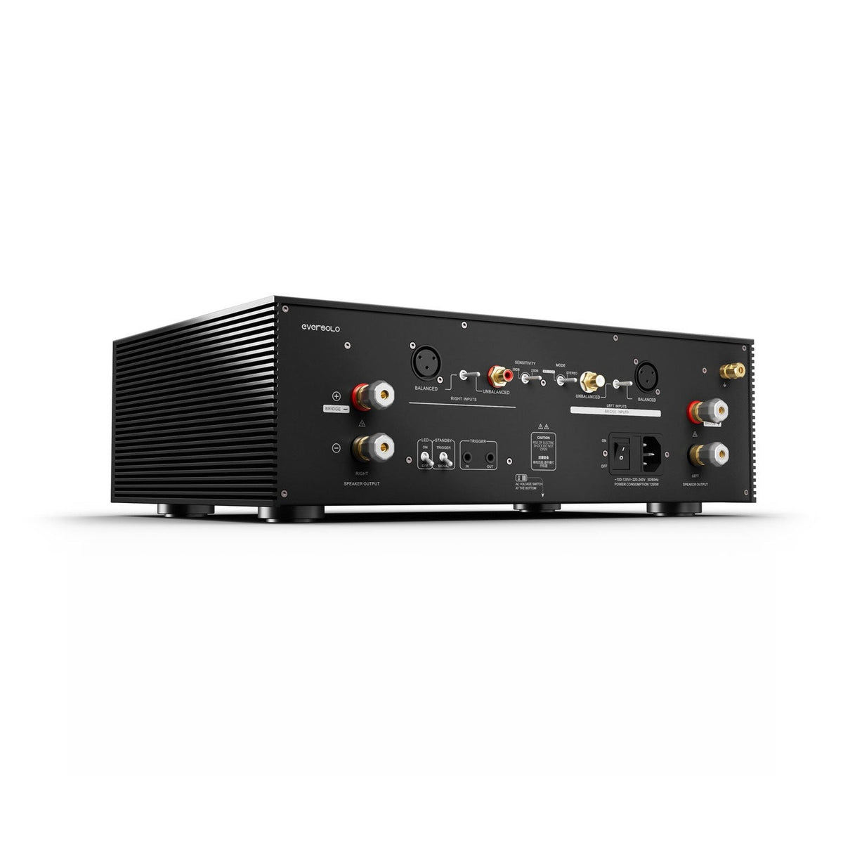 Eversolo AMP-F8 Stereo-Endverstärker Rückansicht schräg von hinten mit Anschlüssen