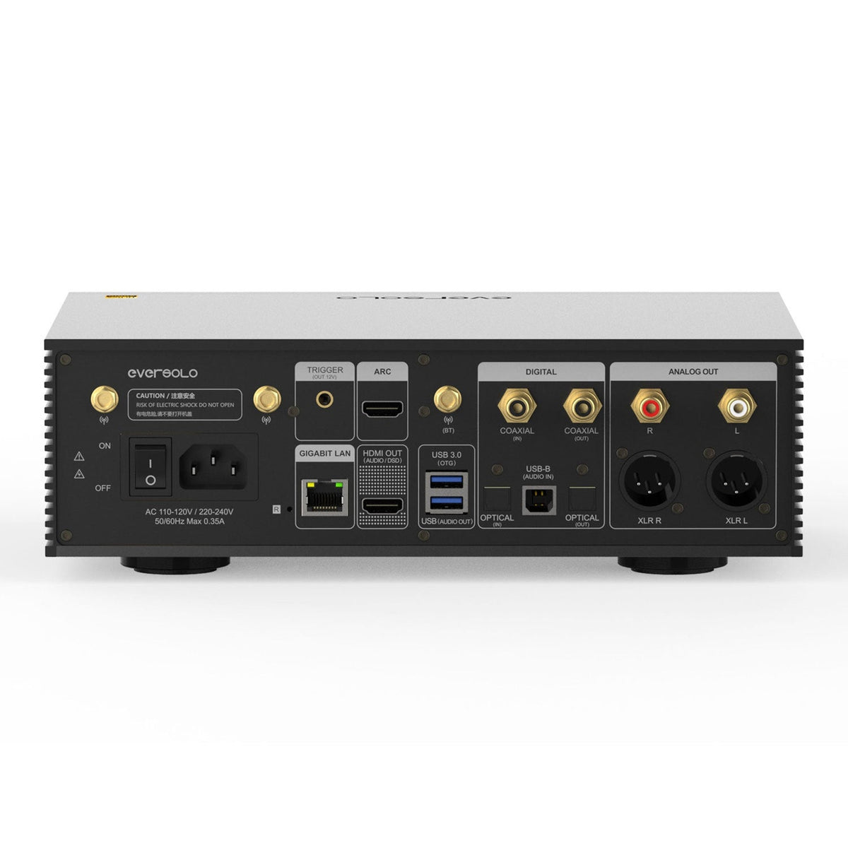 Eversolo DMP-A6 Master Edition Gen 2 Streamer Schwarz Rückansicht mit XLR-, Cinch- und Digitalanschlüssen