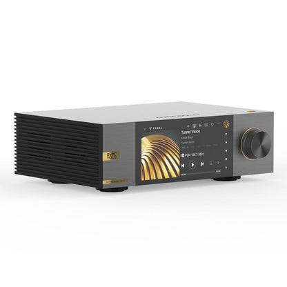 Eversolo DMP-A6 Master Edition Gen 2 Streamer Schwarz Schrägansicht mit Kühlrippen
