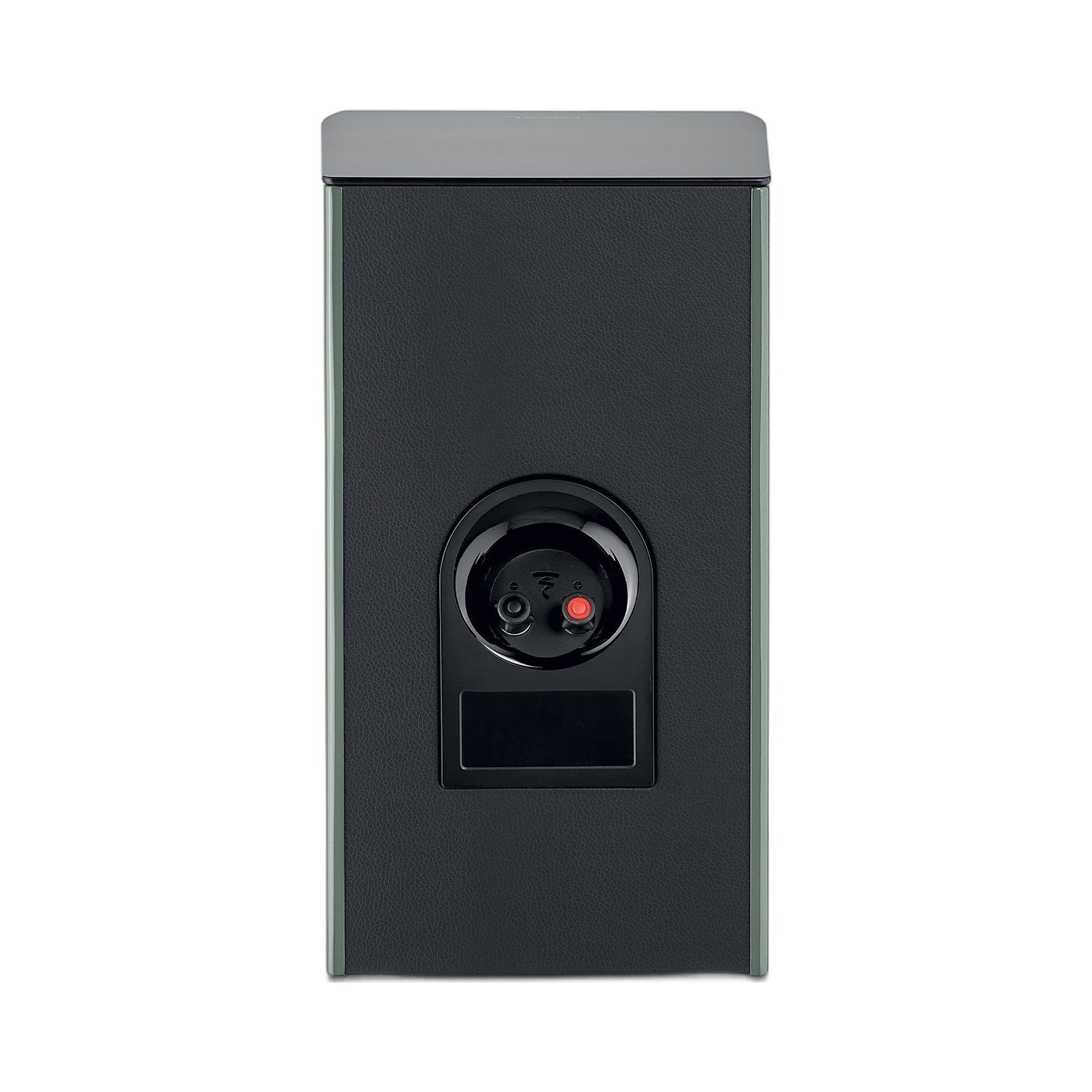 Focal Aria EVO X N°1 Regallautsprecher Moosgrün Hochglanz Rückansicht mit Anschlussklemmen