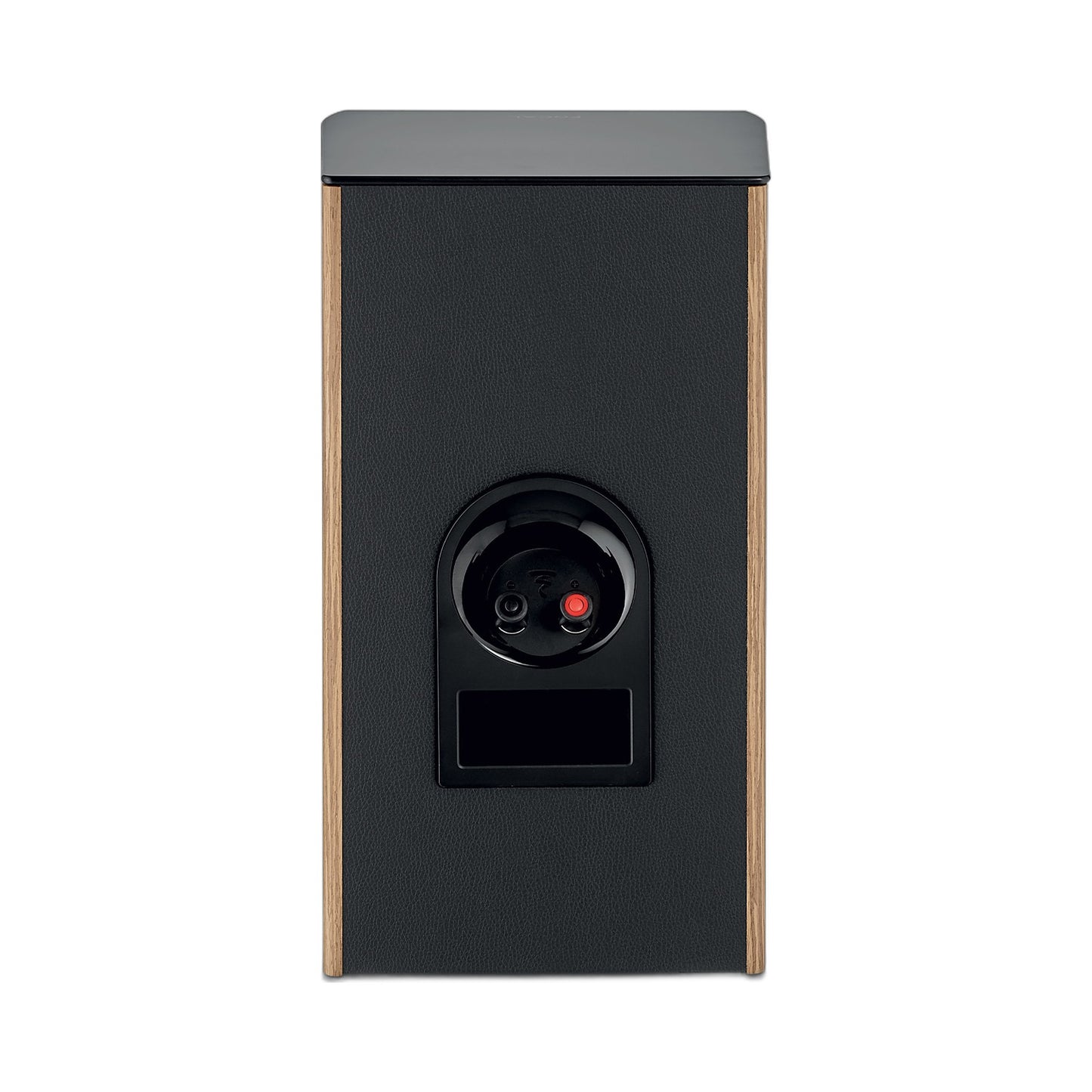 Focal Aria EVO X N°1 Regallautsprecher Nussbaum Rückansicht mit Anschlussklemmen