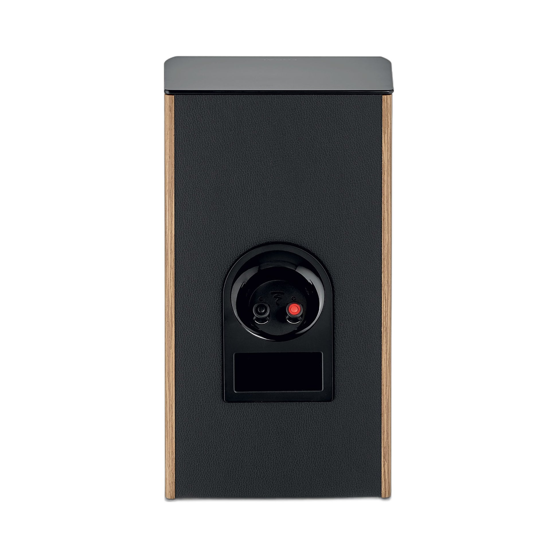 Focal Aria EVO X N°1 Regallautsprecher Nussbaum Rückansicht mit Anschlussklemmen
