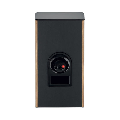 Focal Aria EVO X N°1 Regallautsprecher Nussbaum Rückansicht mit Anschlussklemmen