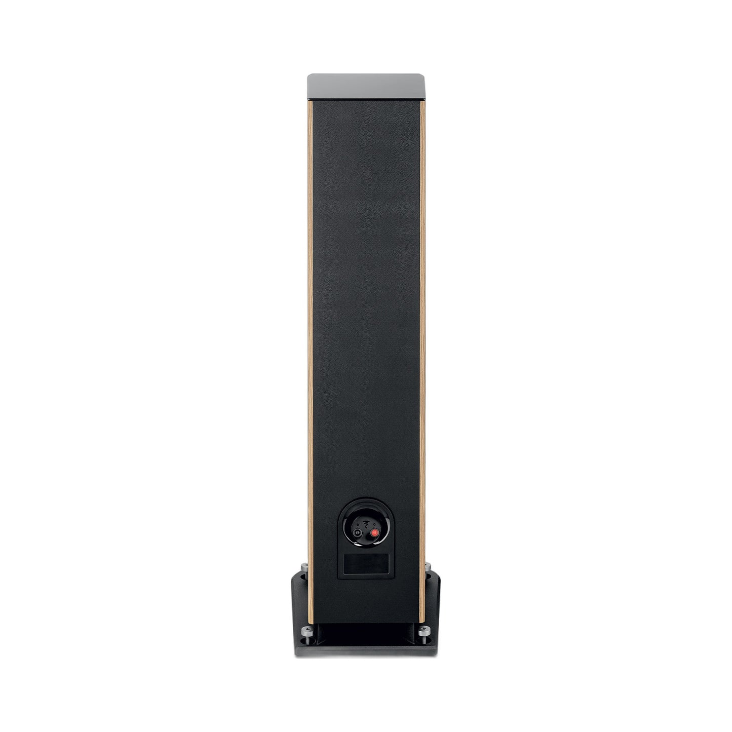 Focal Aria EVO X N°2 Standlautsprecher Nussbaum Rückansicht mit Anschlussfeld