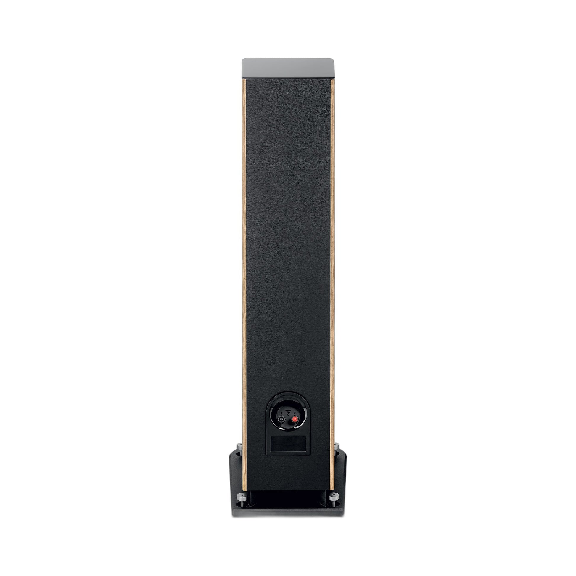 Focal Aria EVO X N°2 Standlautsprecher Nussbaum Rückansicht mit Anschlussfeld