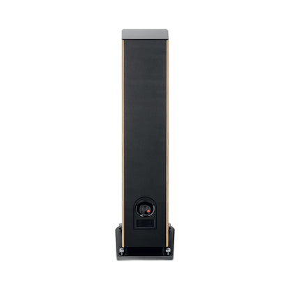 Focal Aria EVO X N°2 Standlautsprecher Nussbaum Rückansicht mit Anschlussfeld