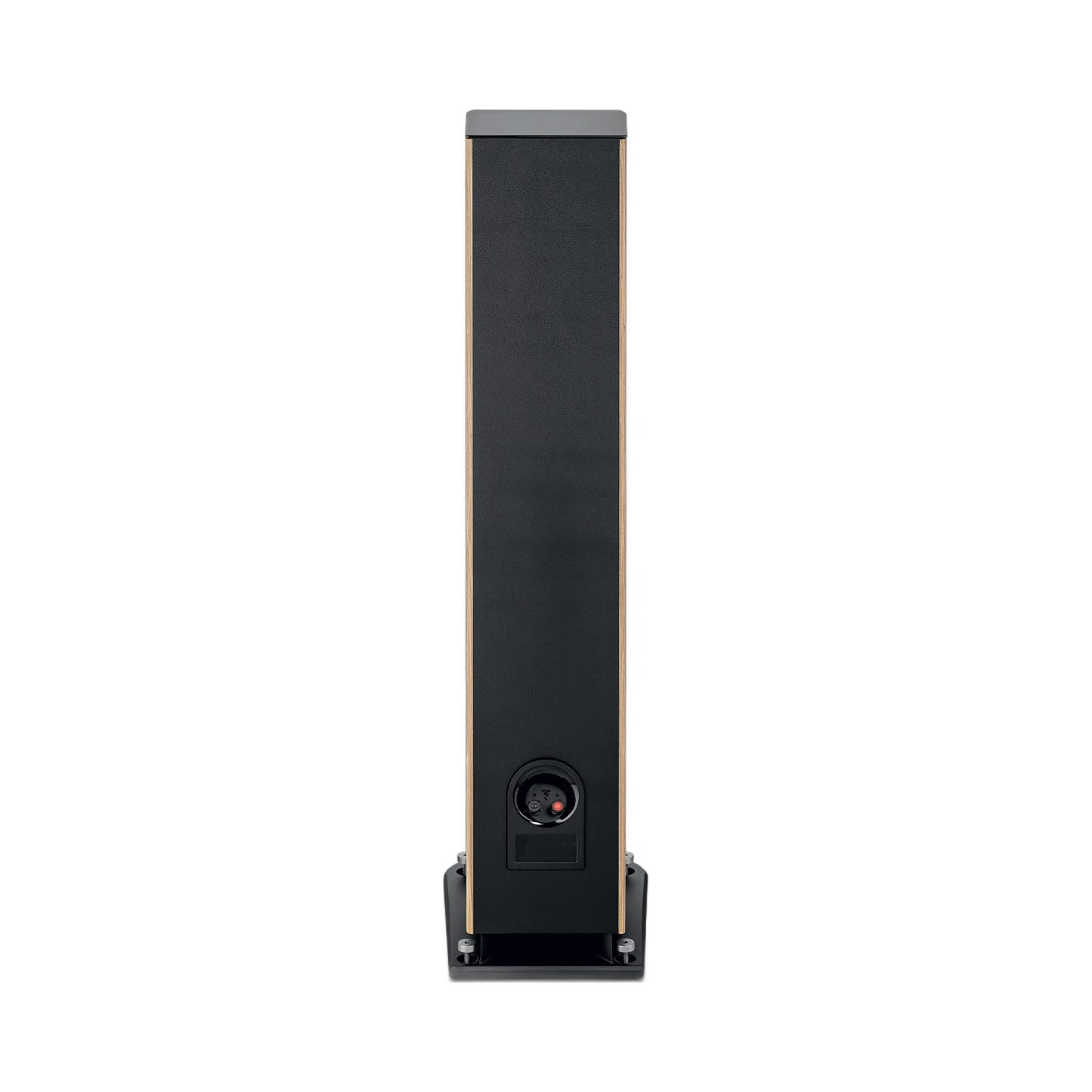 Focal Aria EVO X N°3 Standlautsprecher Nussbaum Rückansicht mit Anschlussfeld und Bassreflexöffnung