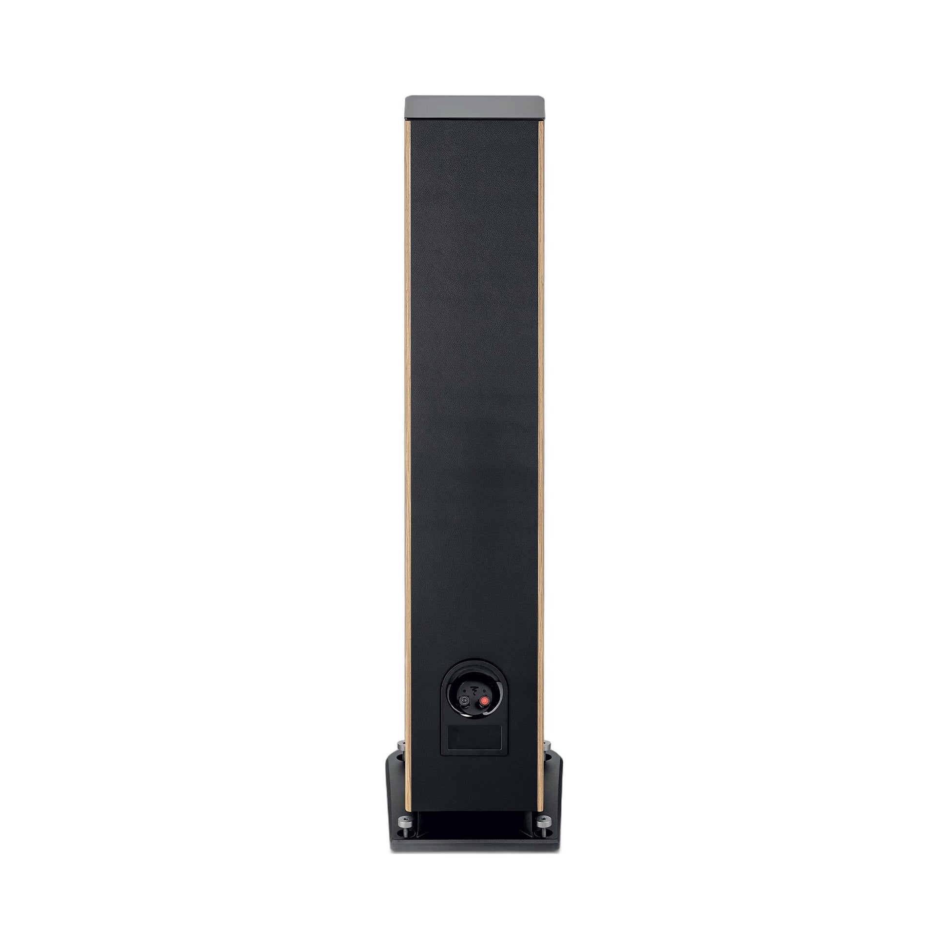 Focal Aria EVO X N°3 Standlautsprecher Nussbaum Rückansicht mit Anschlussfeld und Bassreflexöffnung
