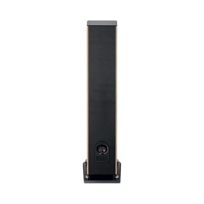 Focal Aria EVO X N°3 Standlautsprecher Nussbaum Rückansicht mit Anschlussfeld und Bassreflexöffnung