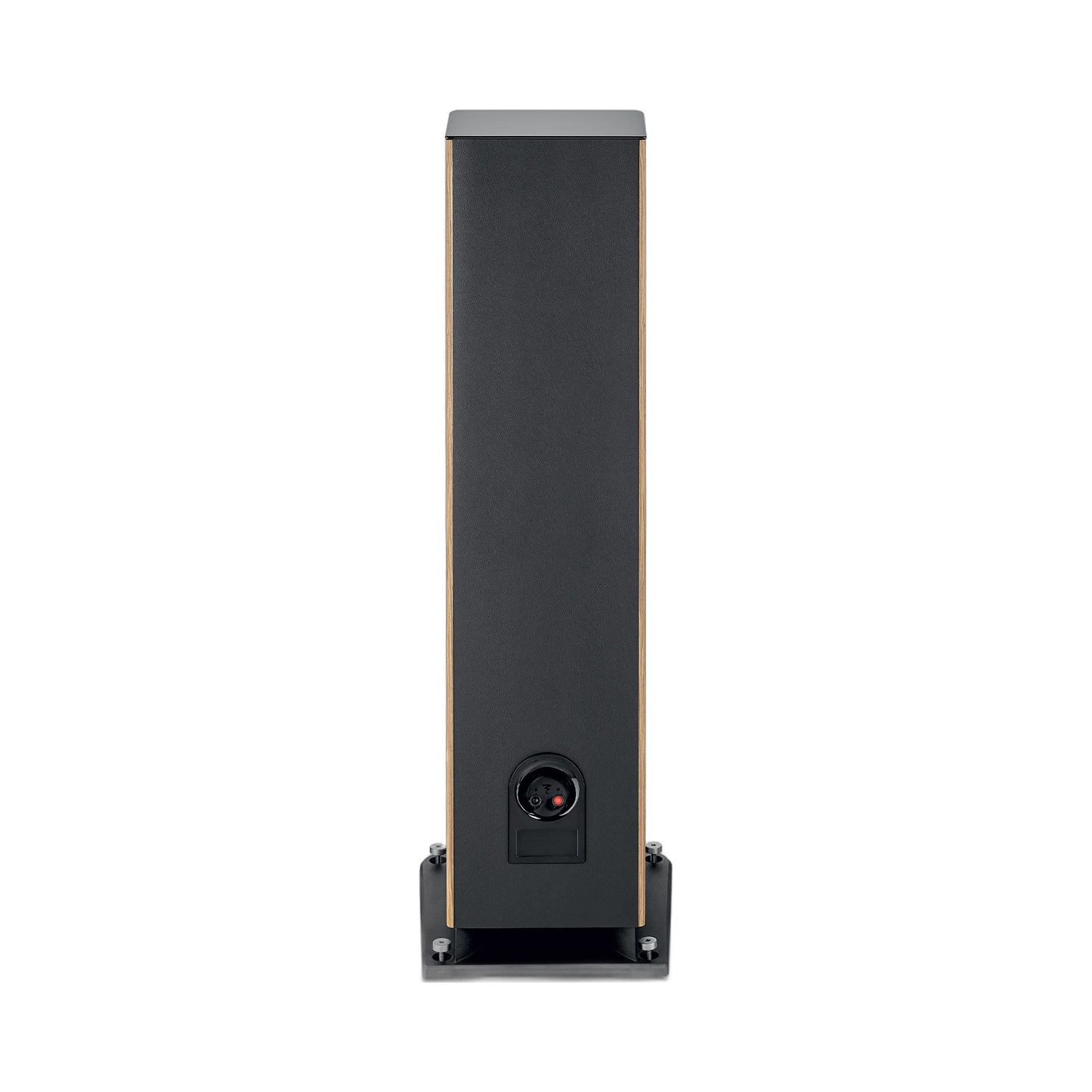 Focal Aria EVO X N°4 Standlautsprecher Nussbaum Rückansicht mit Anschlussfeld