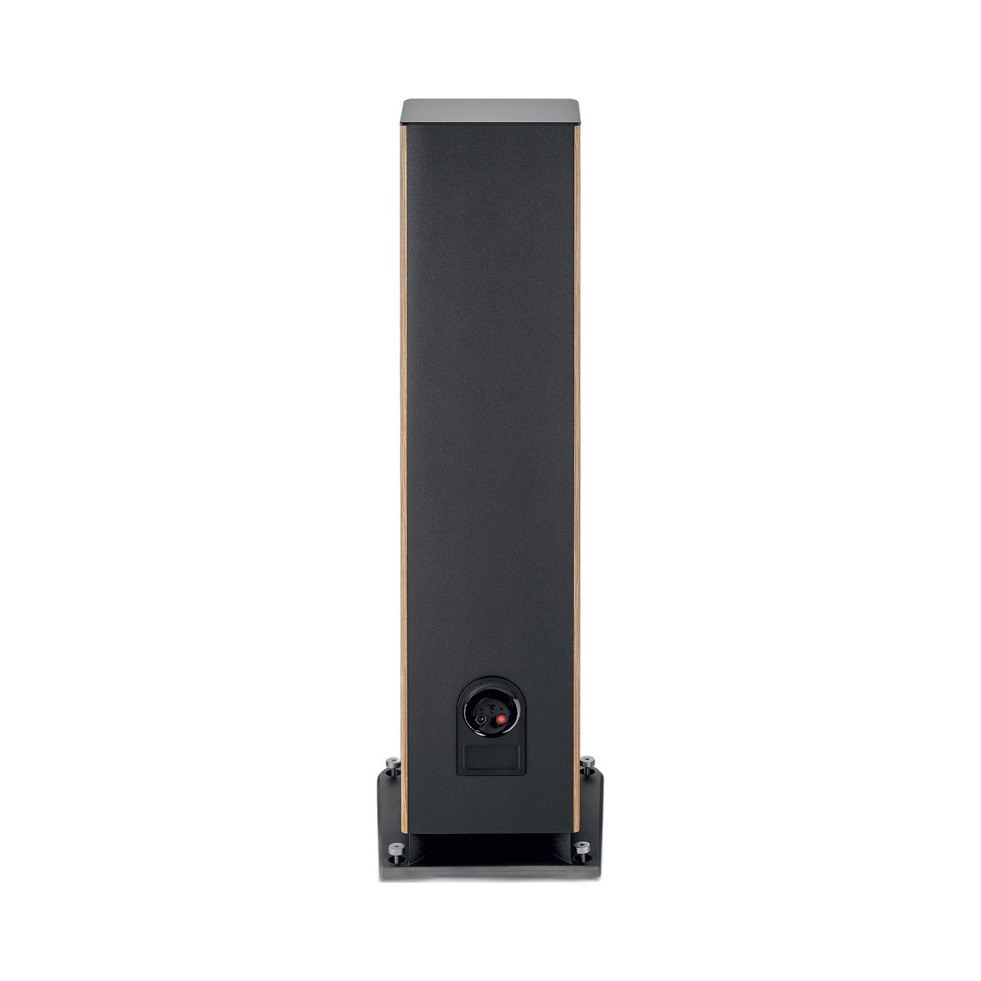 Focal Aria EVO X N°4 Standlautsprecher Nussbaum Rückansicht mit Anschlussfeld