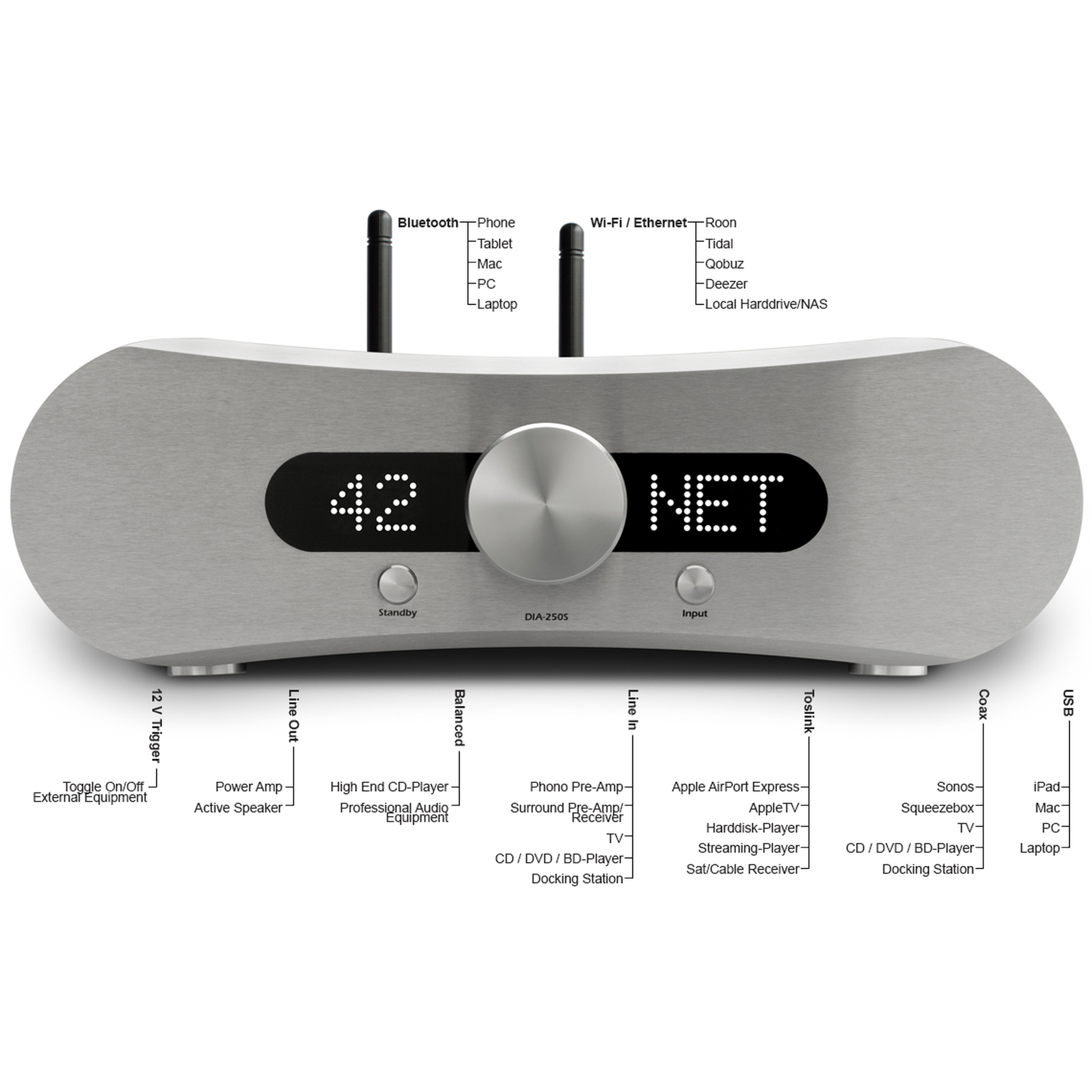 Gato Audio DIA-250S NPM Streaming-Verstärker Nussbaum Hochglanz Anschlussdiagramm mit Ein- und Ausgängen