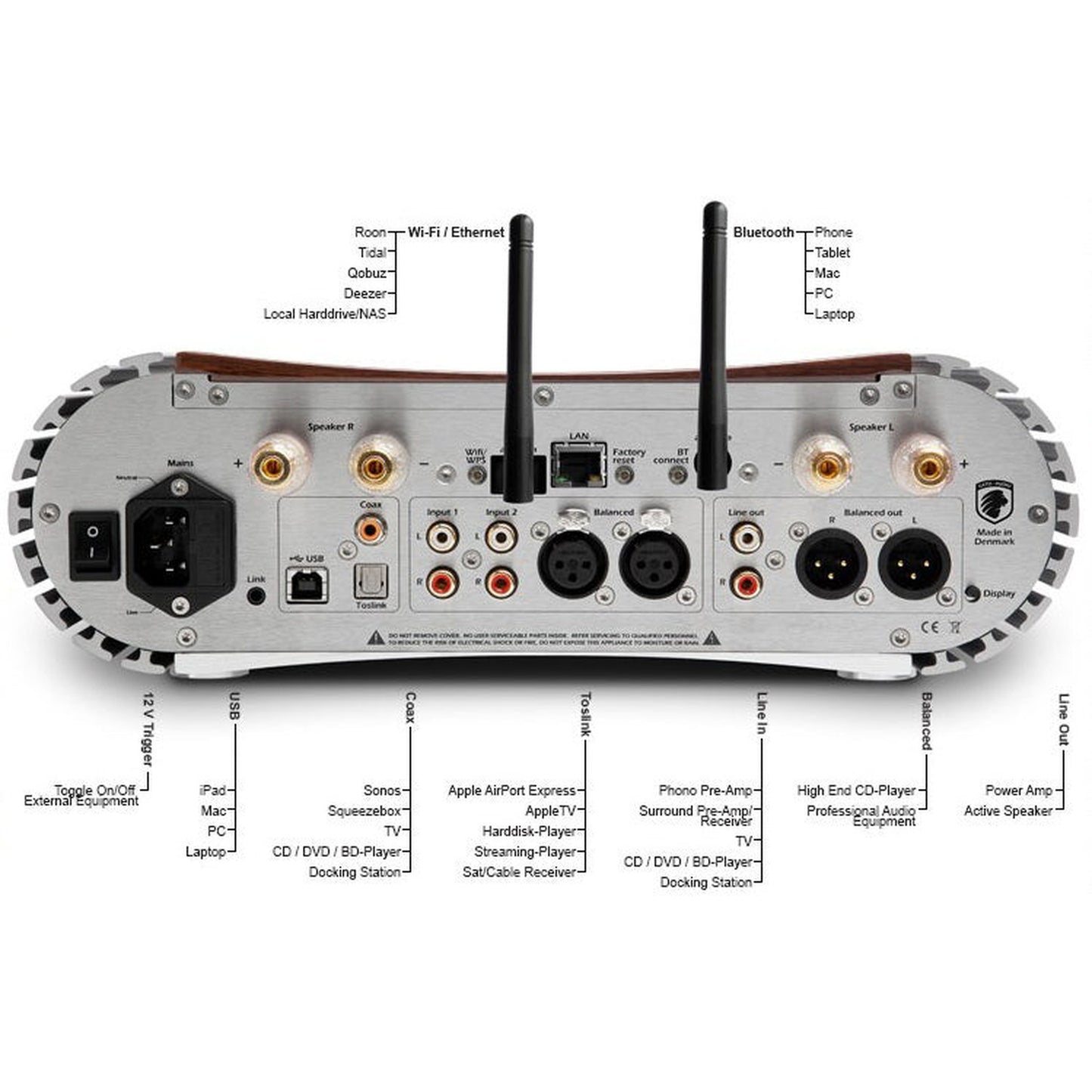 Gato Audio DIA-400S NPM Streaming-Verstärker Nussbaum Hochglanz, beschriftete Quellen und Ausgänge, Anschlussdiagramm